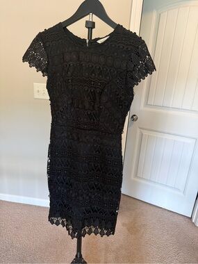 Francesca's Collections Black Lace Mini Dress